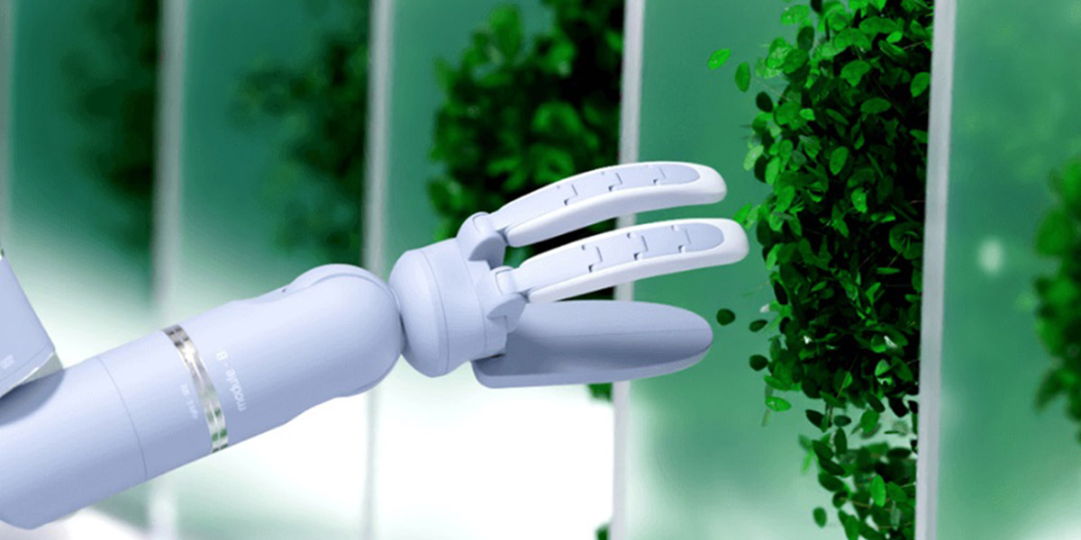 Robot, oggi coltivano anche le verdure fresche